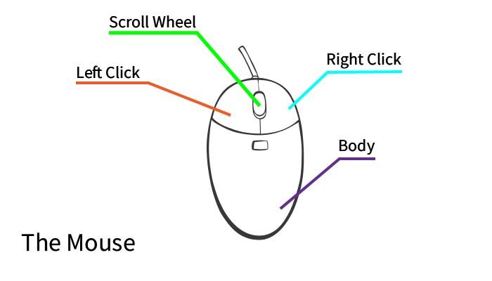 The parts of a mouse. Image courtesy of edu.gcfglobal.org